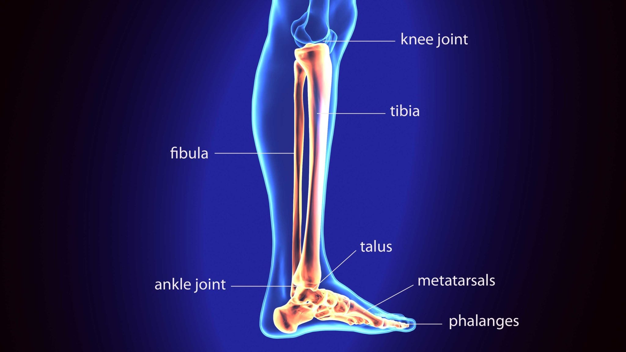 Broken Leg: Symptoms, Treatment, and Recovery Time