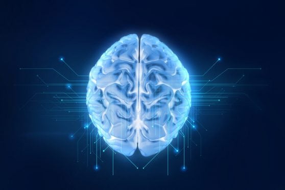 Your brain and aging