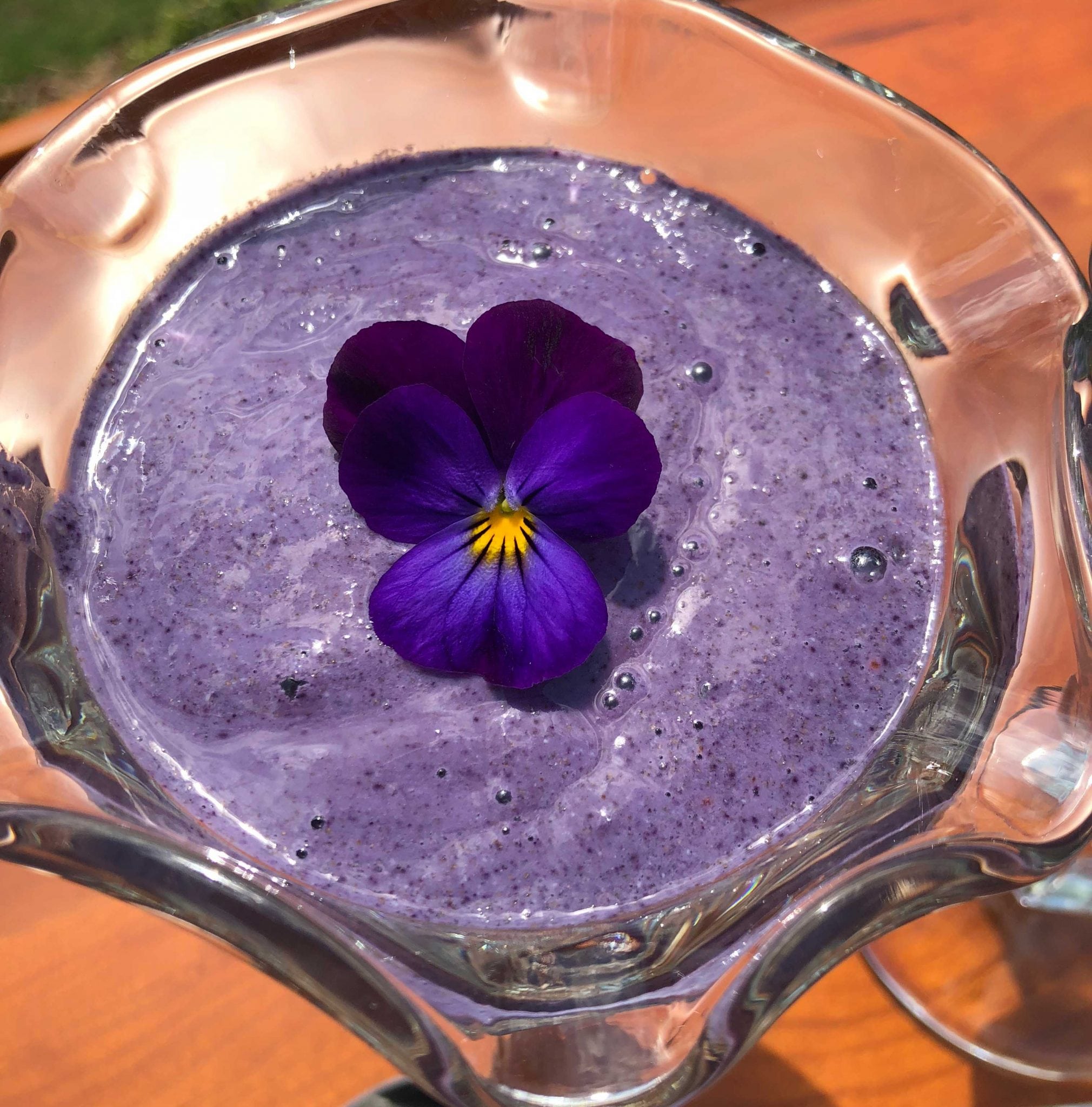 Chia Wild Blueberry Pudding