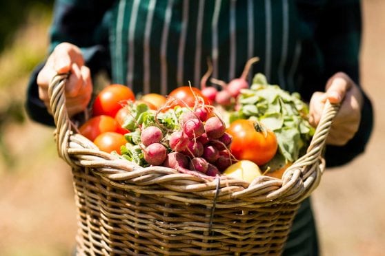 Fresh Vegetables