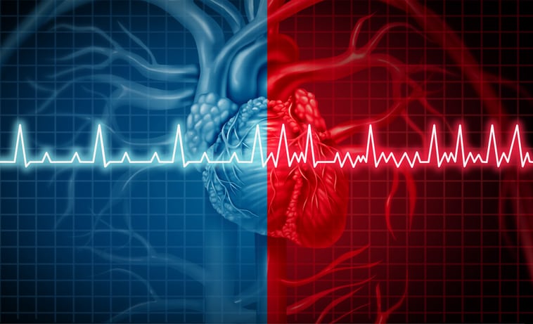 Tests for Your Heart: How They Work, What They Mean