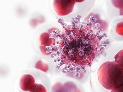Cancer and Bacteria