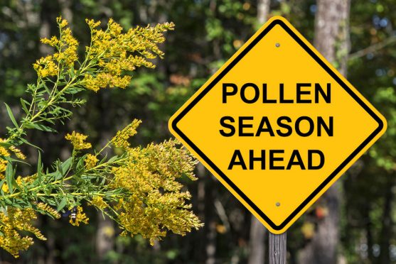 Seasonal Allergies