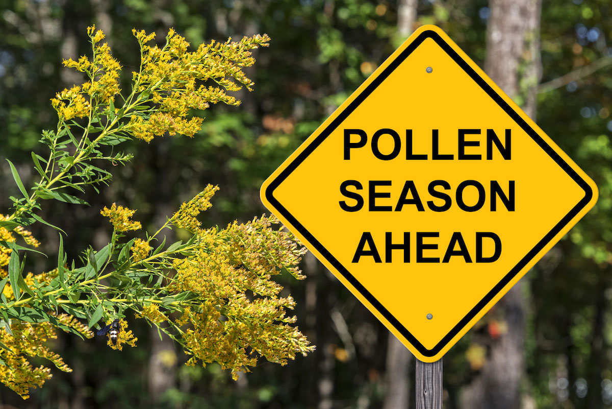Here Comes Pollen Season What to Do, What to Take Health News Hub