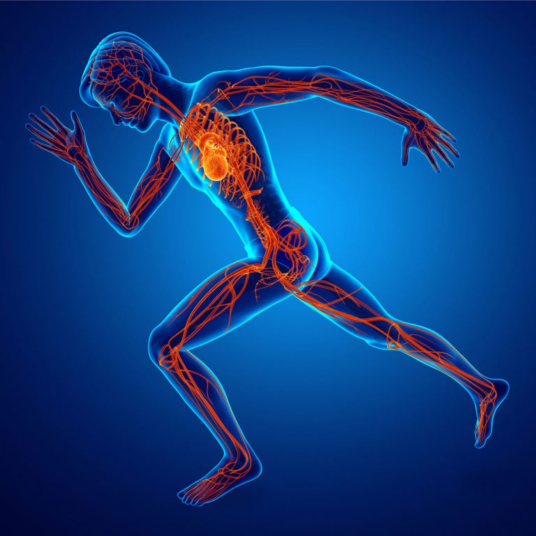Why Put Vascular Disease On Your Radar Ask This Vascular Surgeon