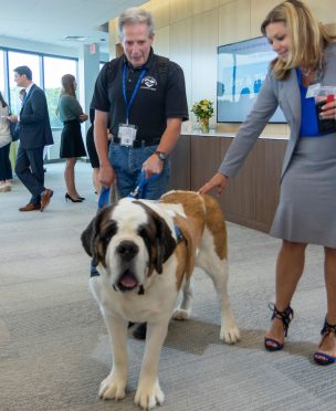 Zack The Therapy Dog
