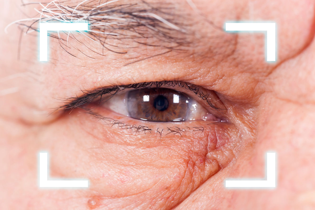 Walk to Wellness: Aging and Your Eyes