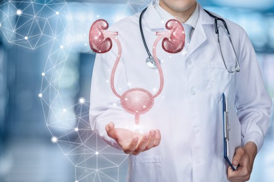 Kidney Cancer