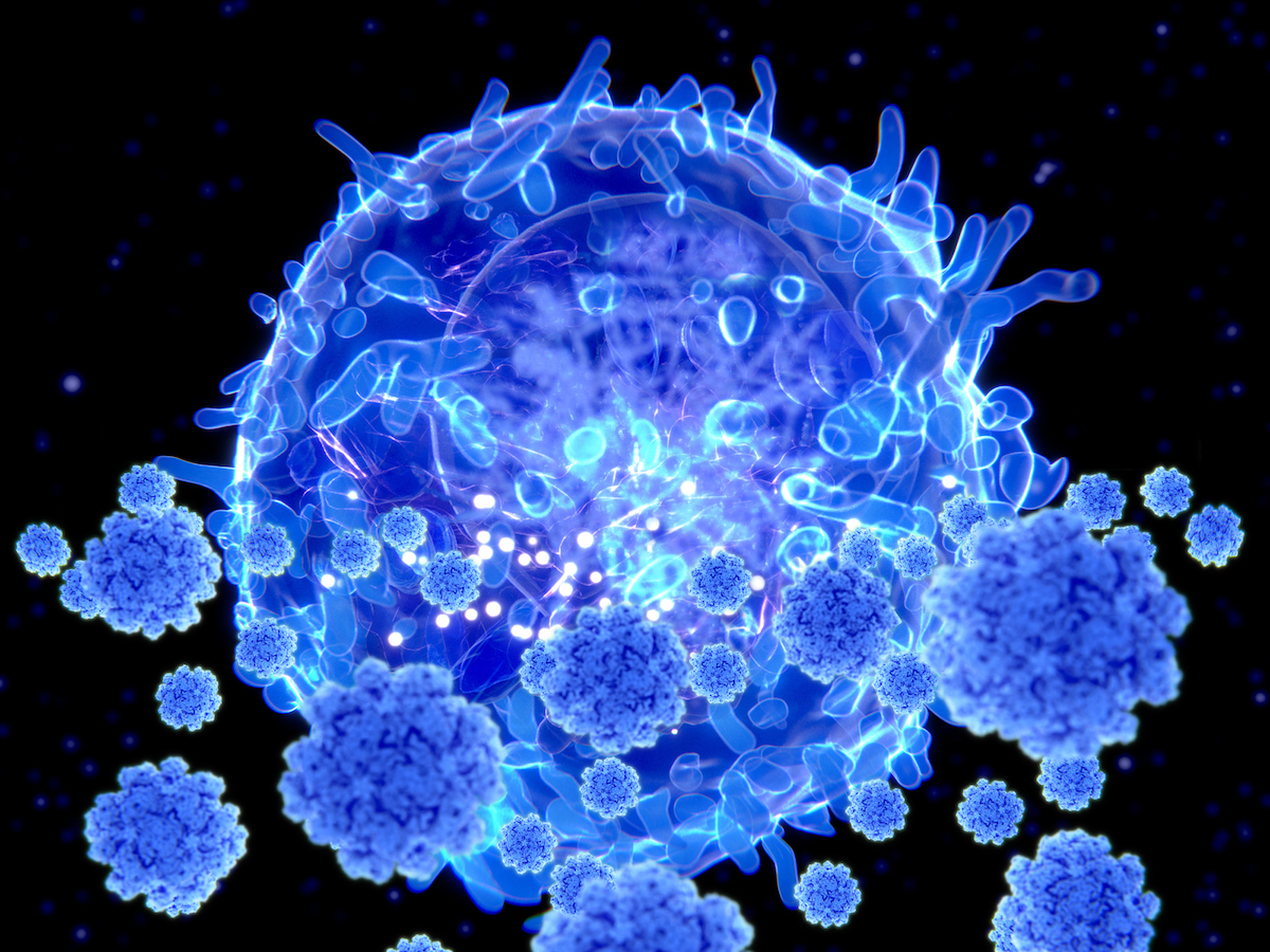 What Are T Cells And How Might They Help You Avoid, or Survive, Omicron?