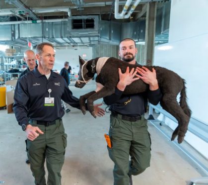 Police k9 best sale first aid training