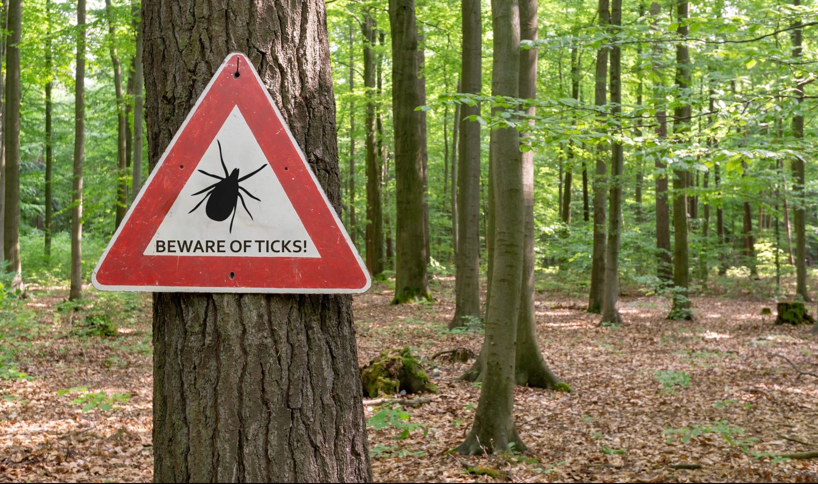 A sign reads "Beware of Ticks."