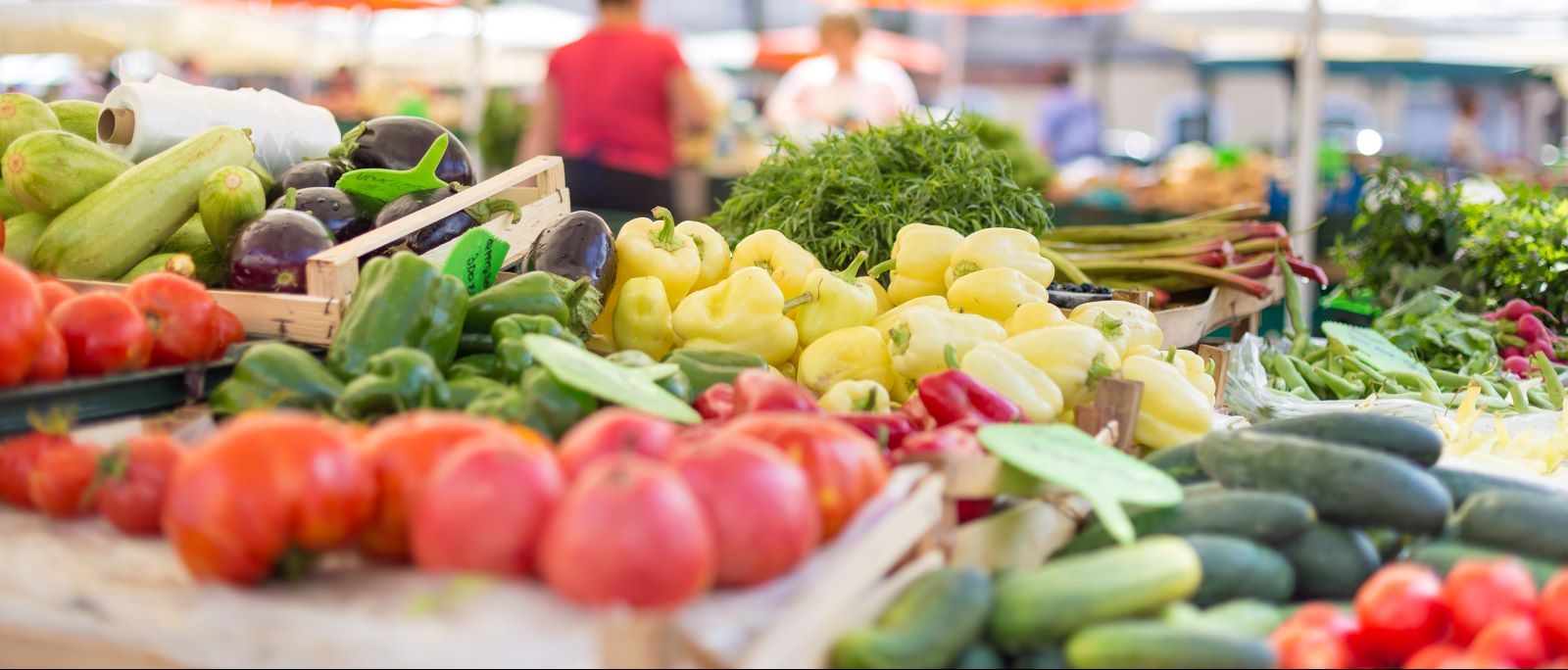 St. Vincent&#8217;s Medical Center Farm Stand