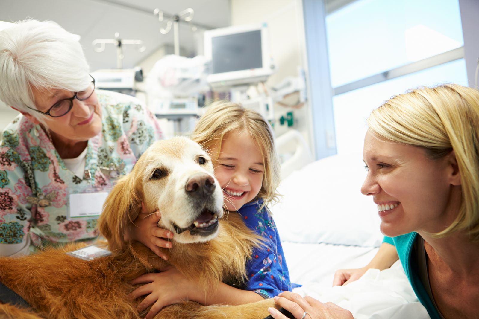Paws for a Cause! Hartford HealthCare to Expand Therapy Dog Program