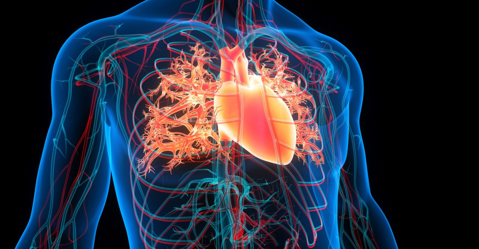 Coronary artery disease is considered the most common type of heart disease. This deadly condition takes a life every 34 seconds.