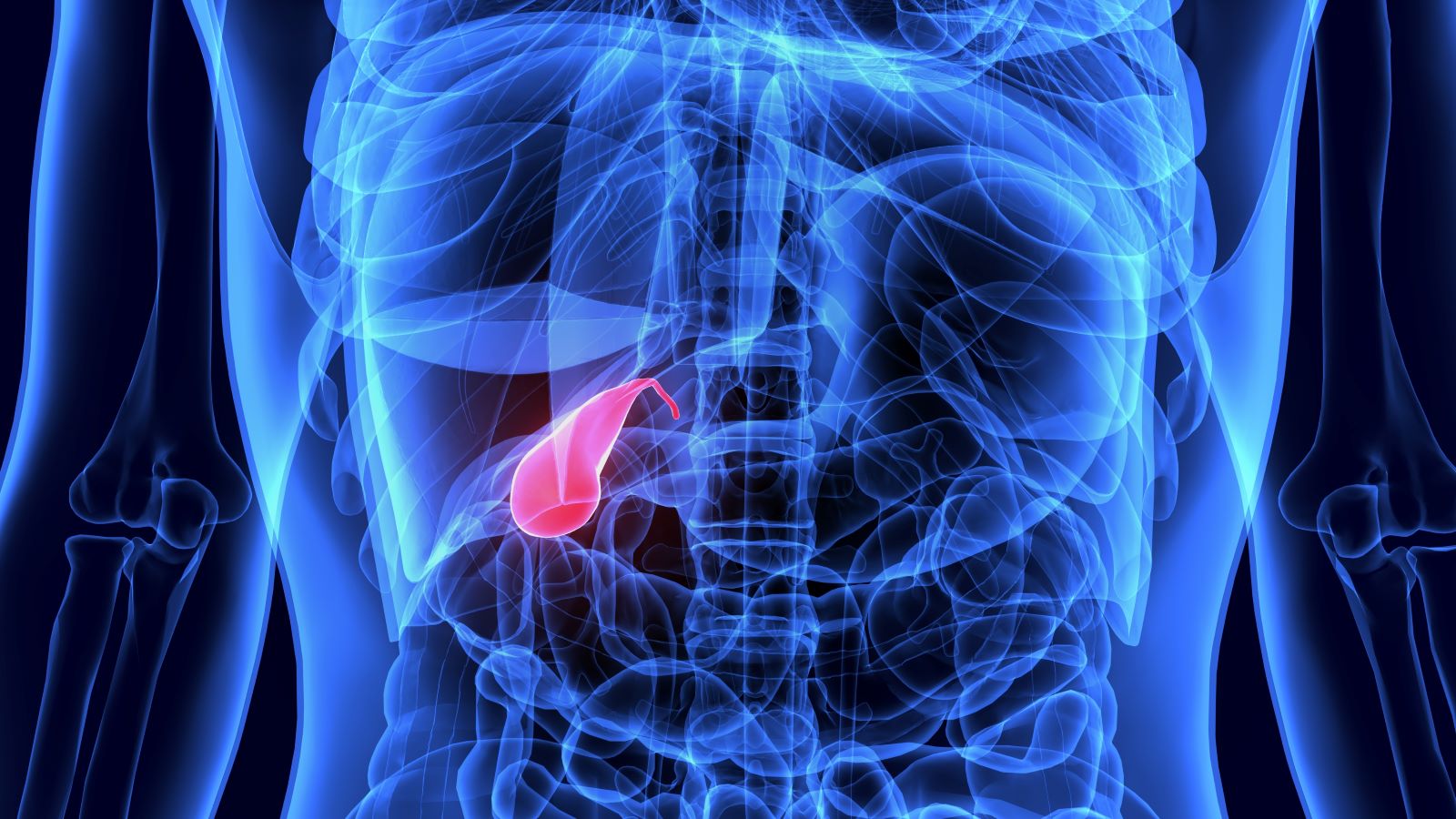 Gallbladder: You Can Live With It, Or Without It