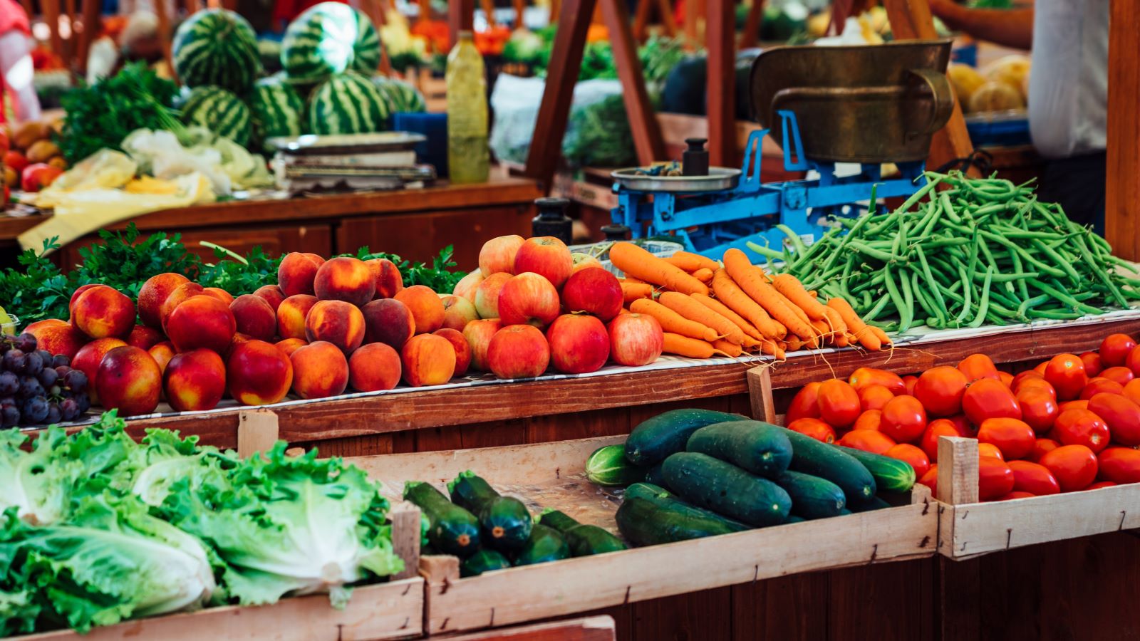 You don't need a vegetable garden to fill your plate with the freshest produce this summer — just stop by your local farmers market.