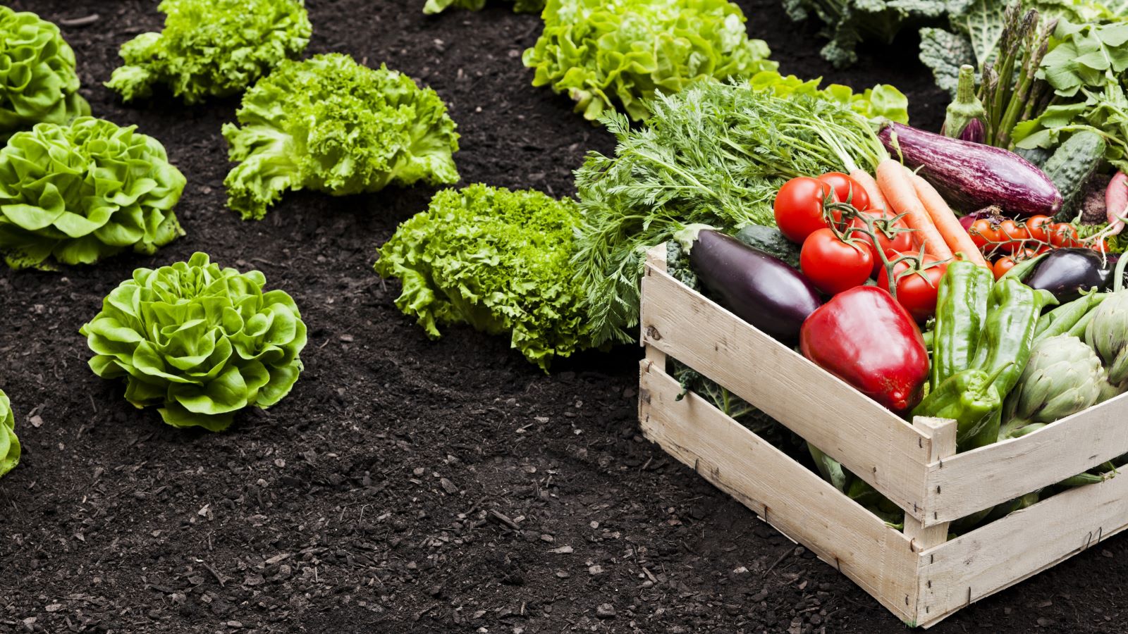 4 Ways to Put Your Fresh Vegetables to Work