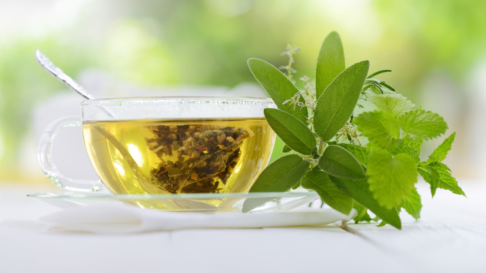 Does Green Tea Really Help With Weight Loss?