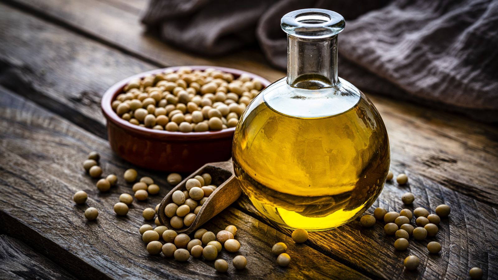 What to Know About Seed Oils and Your Health