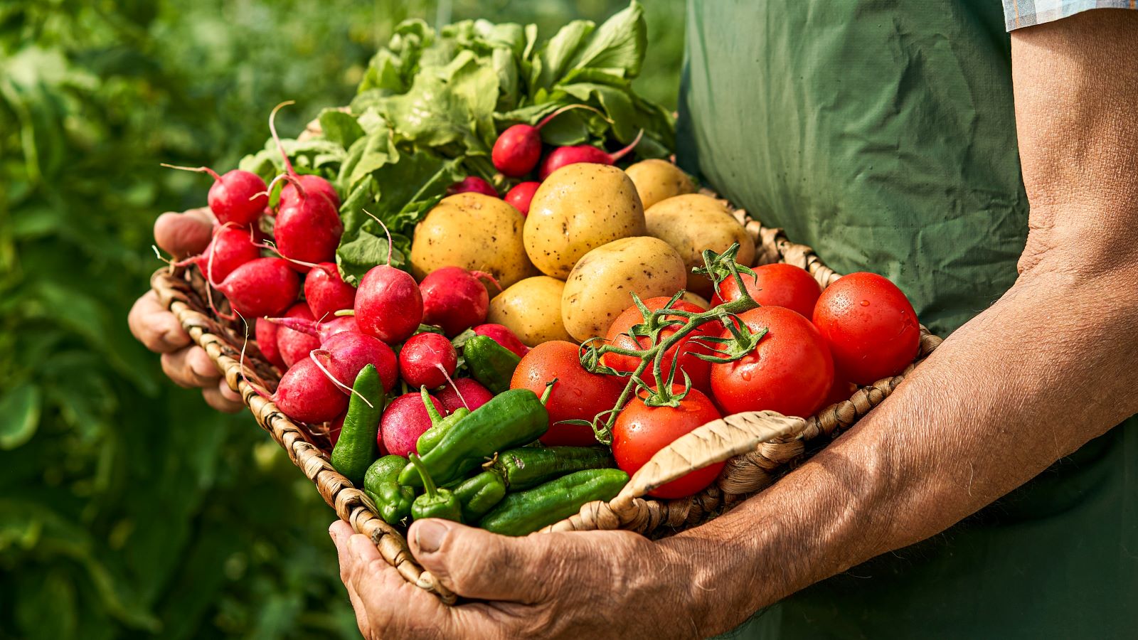 The 8 Best Vegetables for Your Health