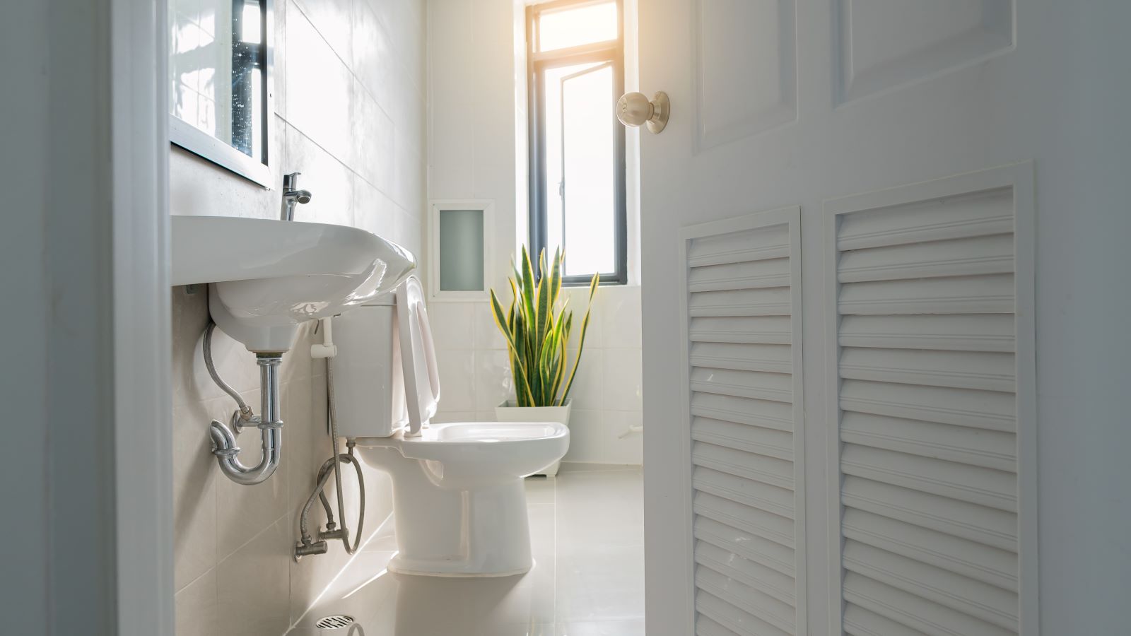 Pain When You Poop? It Could Be an Anal Fissure