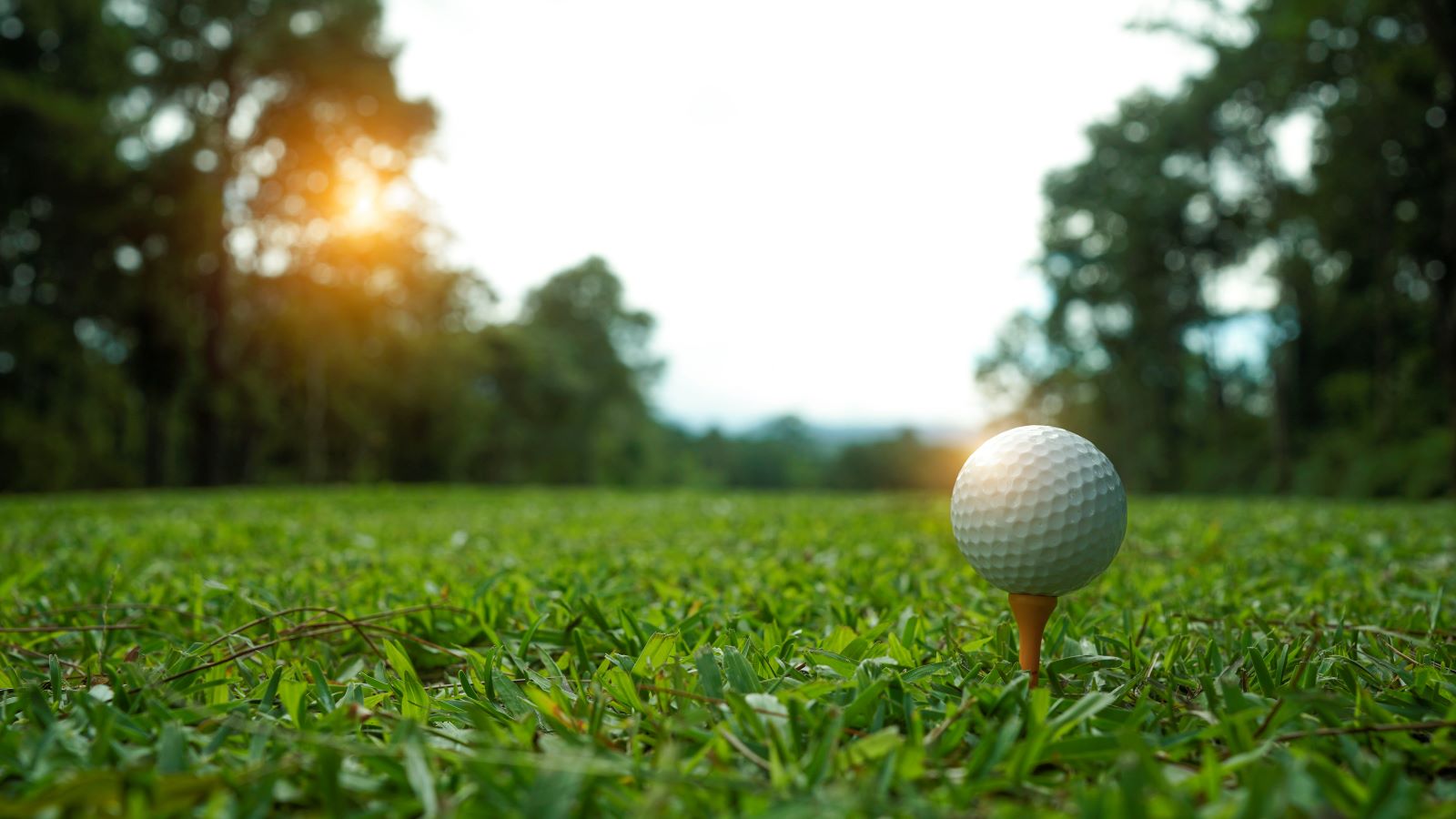 10 Golf Essentials That Can Help You Play Better and Feel Better