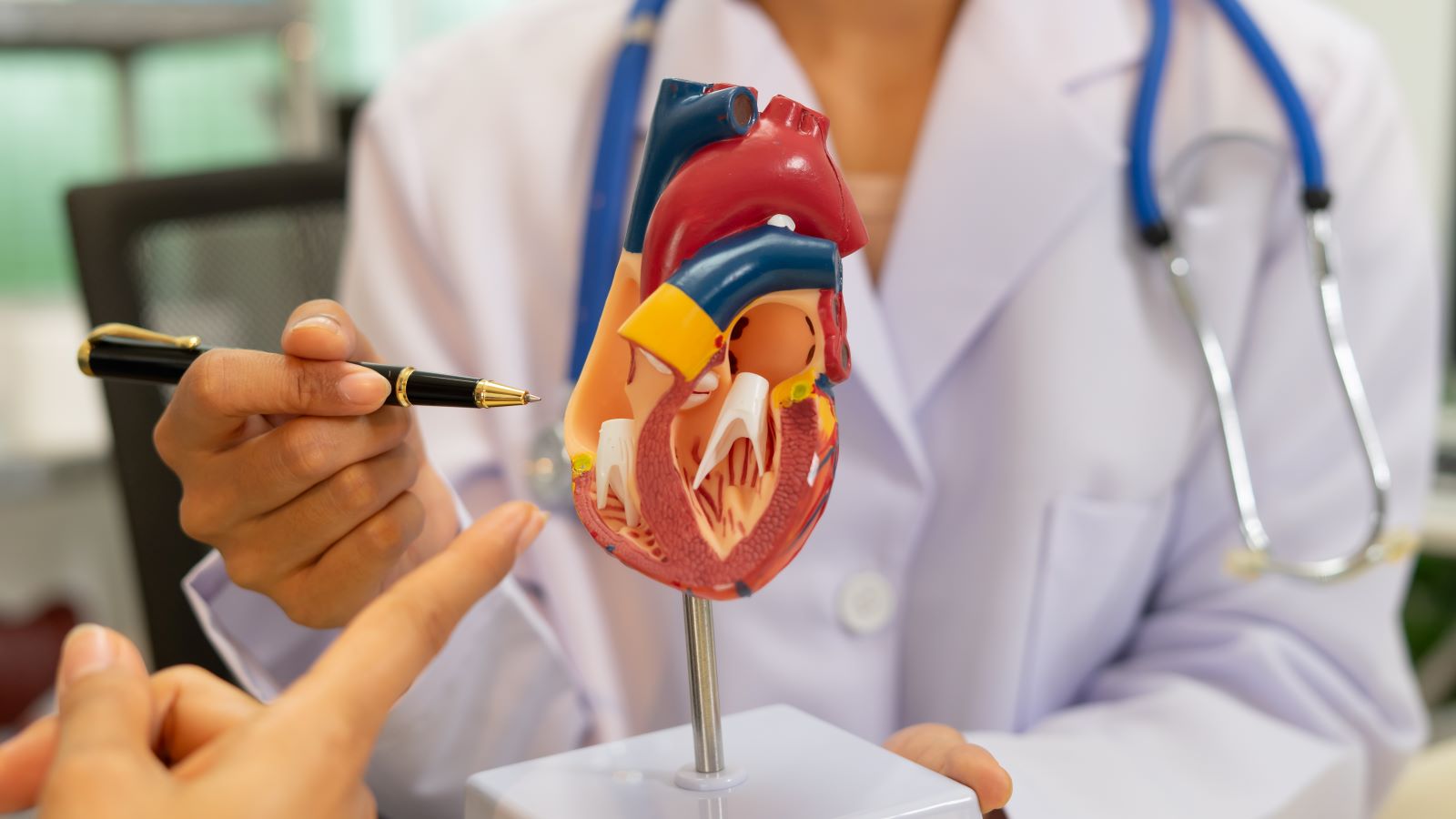 7 Heart Valve Disease Symptoms That Are Easy to Miss