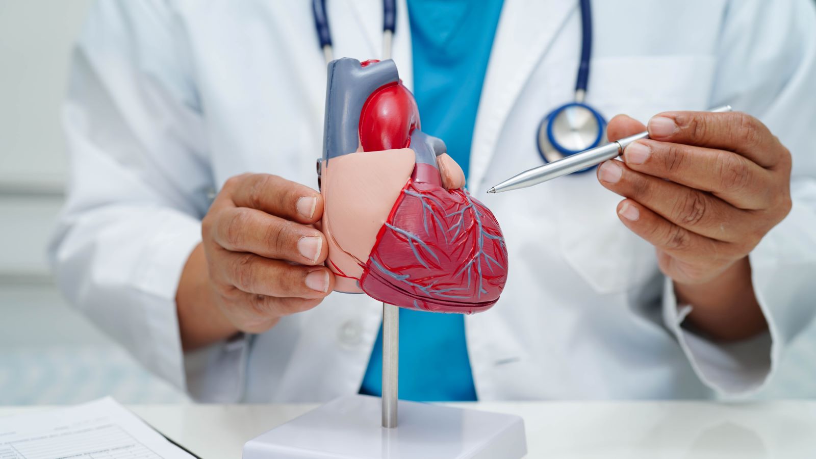 Leaky Heart Valve: What It Means and When to Worry