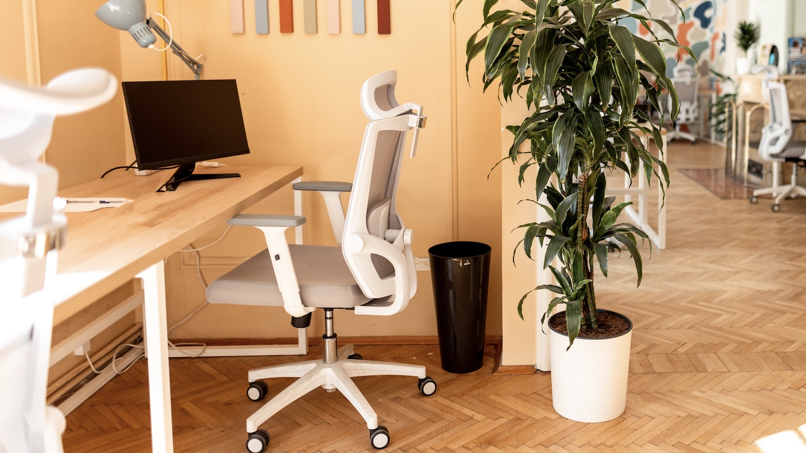 How to Choose the Best Office Chair for Your Back, According to a Neurosurgeon