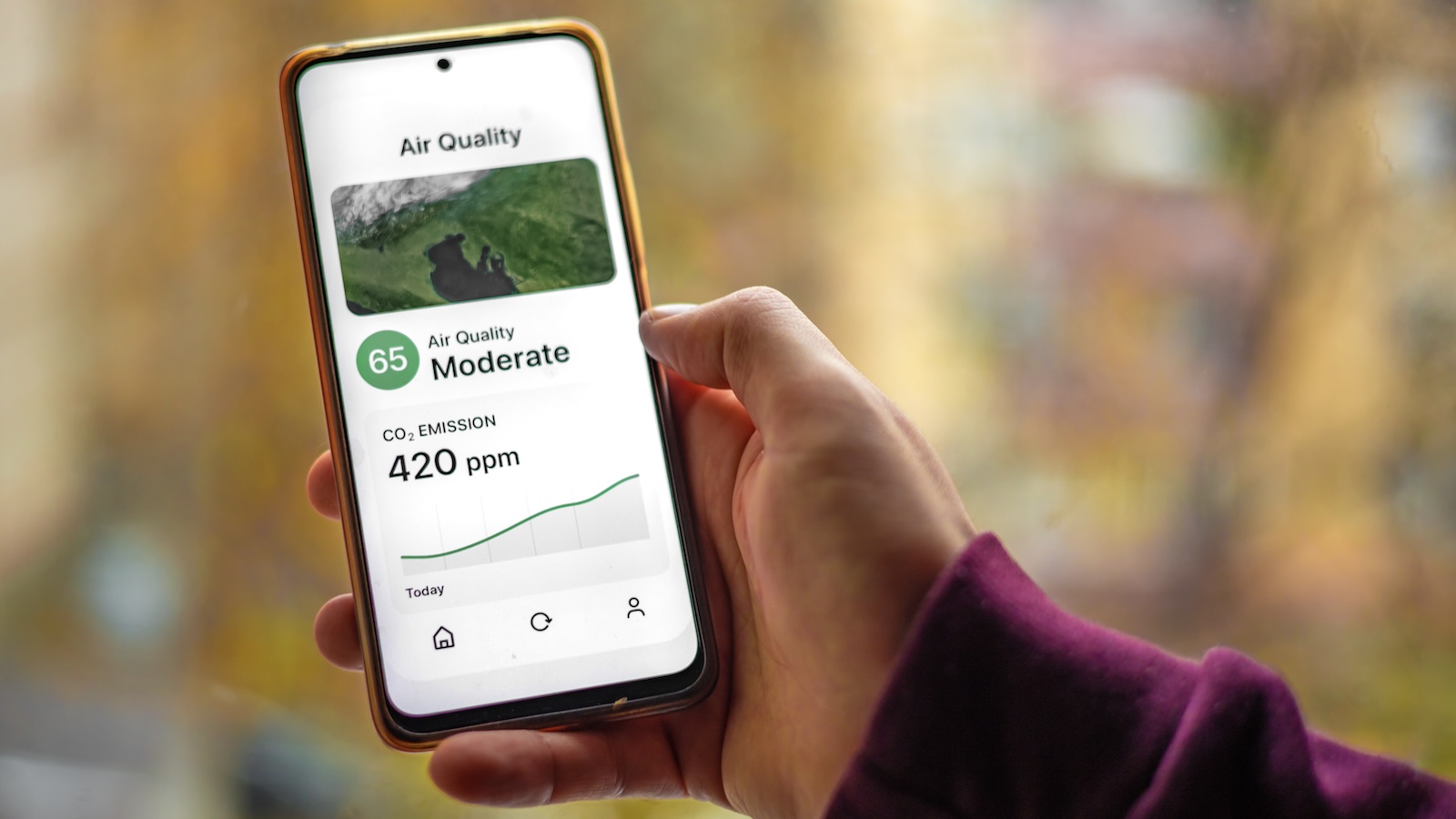 What Happens to Your Lungs at Every Air Quality Level