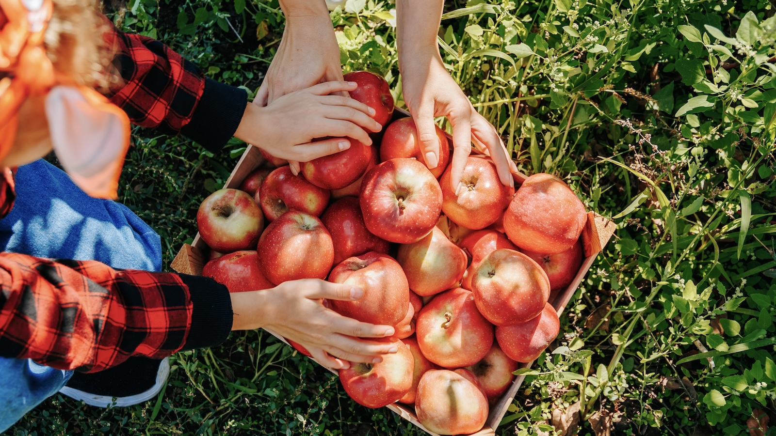 6 Healthy Ways to Use Your Apple-Picking Haul